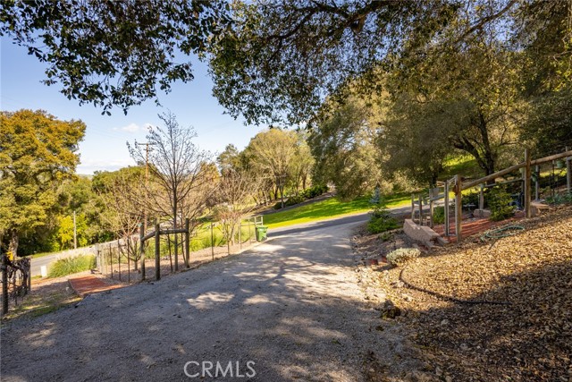 The bottom driveway gives you a glimpse of the many fruit trees and fenced garden area.