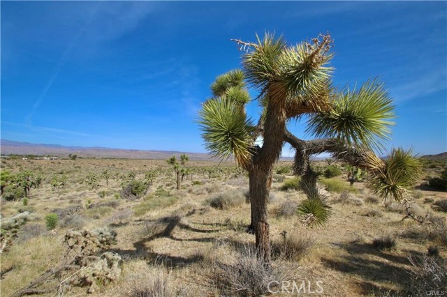 Detail Gallery Image 5 of 9 For 1234 Indio Ave, Yucca Valley,  CA 92284 - – Beds | – Baths