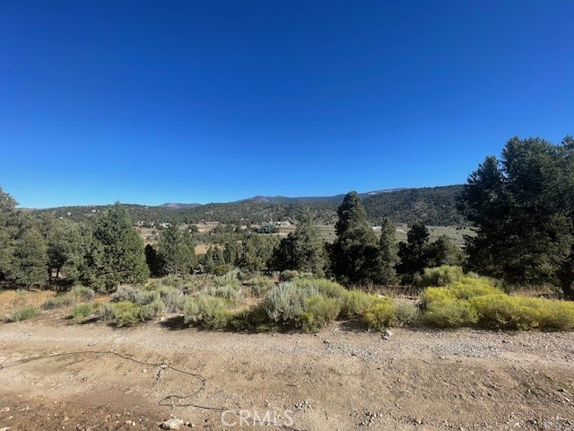MLS #SB25062879 img 4