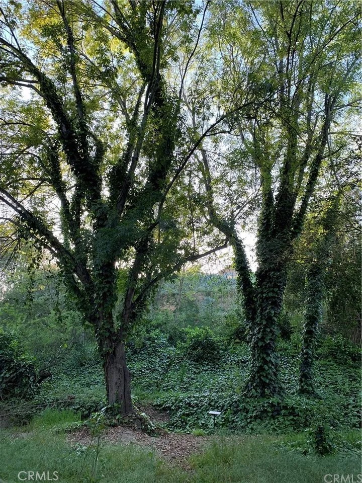 Ee47e075 979f 482a B4a1 372fa18022ba