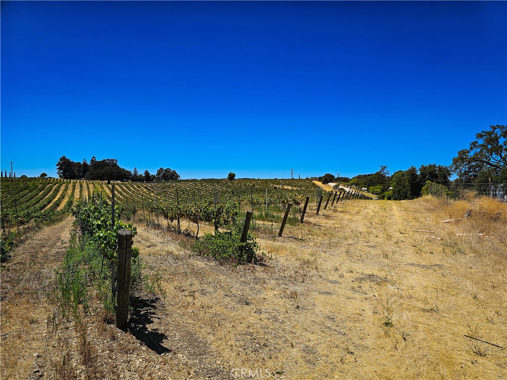 34 Paint Horse Place