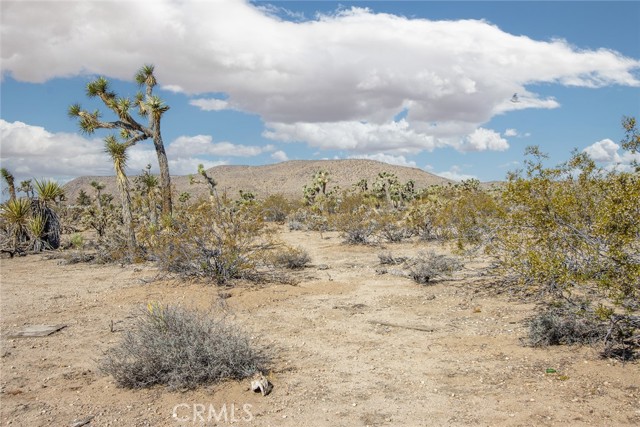 5292 Marvin Drive, Yucca Valley CA: https://media.crmls.org/medias/ee54a253-e2e4-448c-b2b4-f73adbc771df.jpg