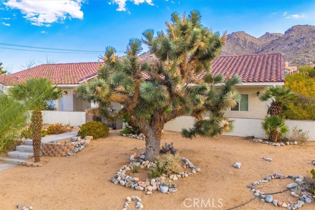 Detail Gallery Image 10 of 69 For 60555 Onaga Trl, Joshua Tree,  CA 92252 - 4 Beds | 2/1 Baths