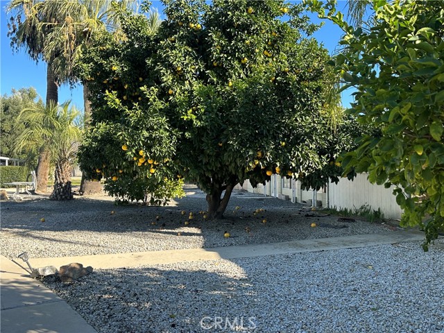 Detail Gallery Image 28 of 32 For 307 Santo, San Jacinto,  CA 92583 - 2 Beds | 2 Baths