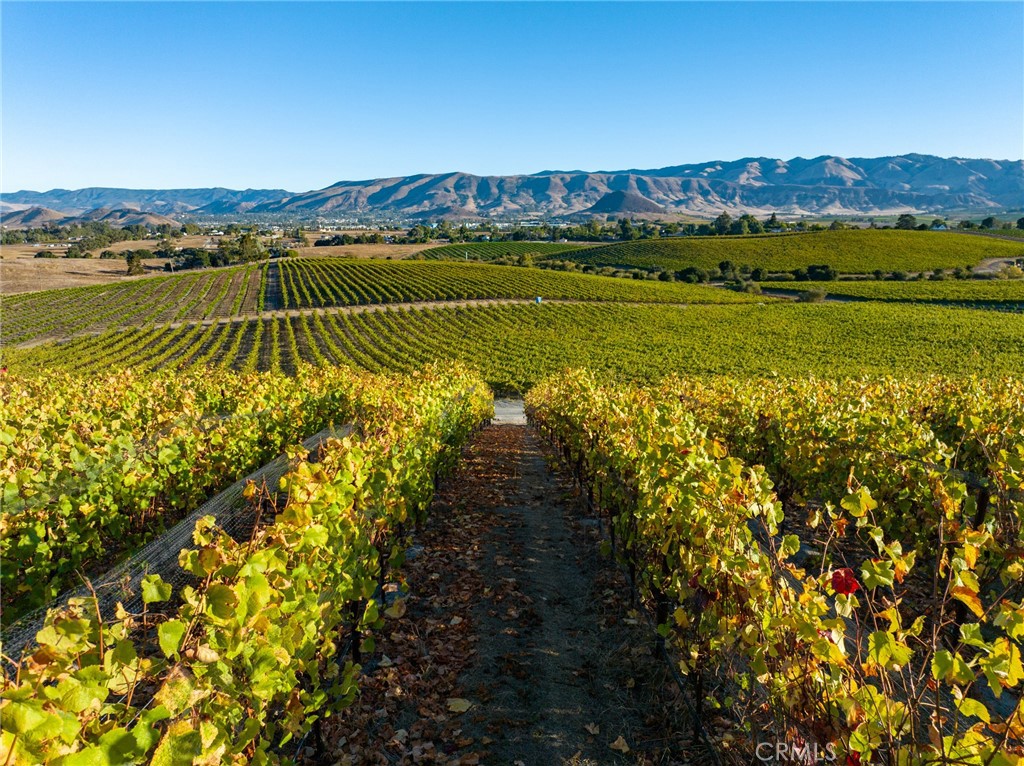 MLS #NS25194884 image #60