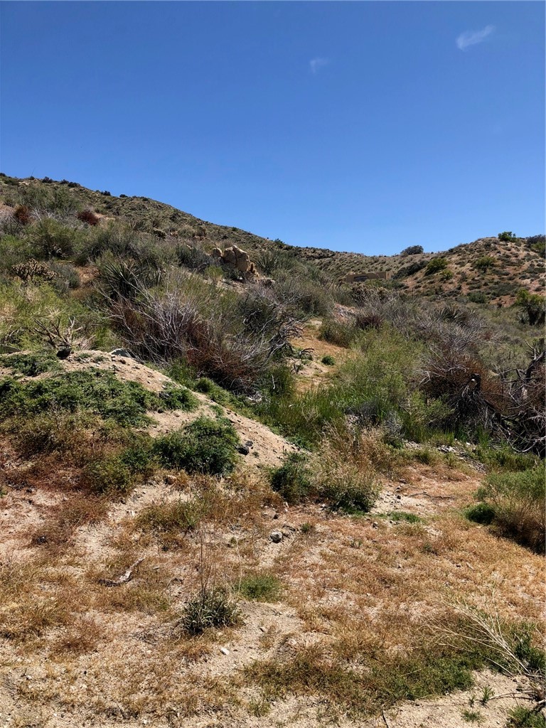 Detail Gallery Image 3 of 10 For 25 Acres  Apn# 0582081110000 / 0582081100000, Morongo Valley,  CA 92256 - – Beds | – Baths