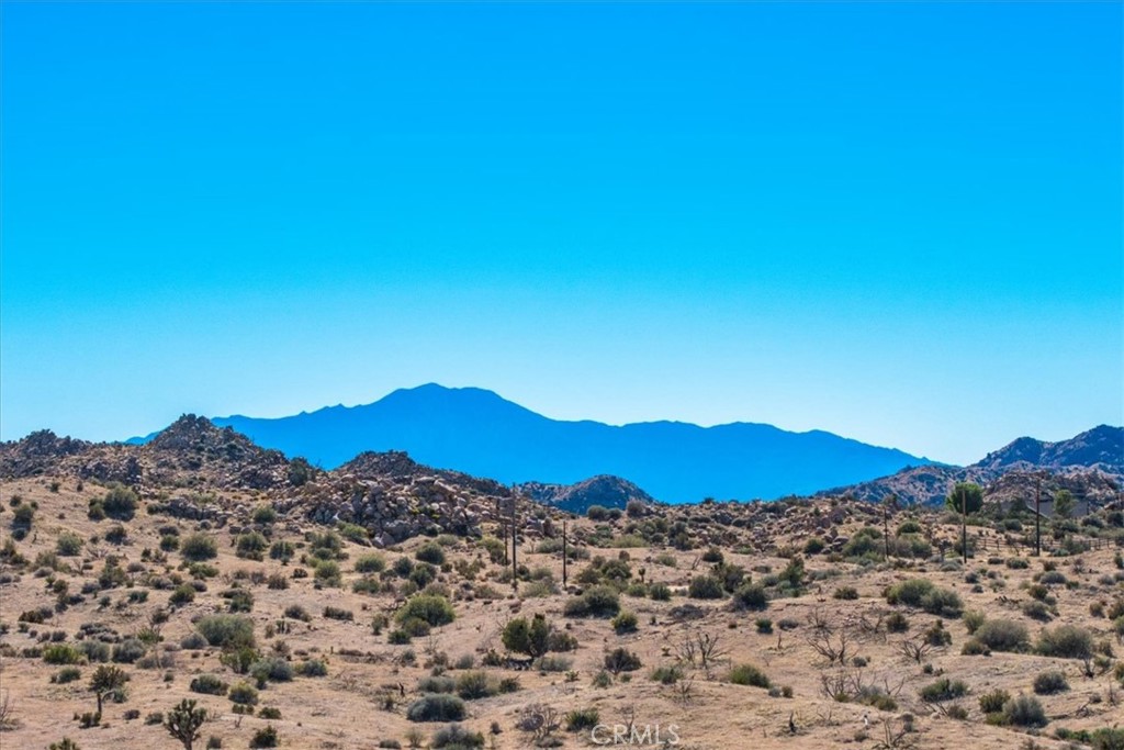 MLS #JT25250010 image #42