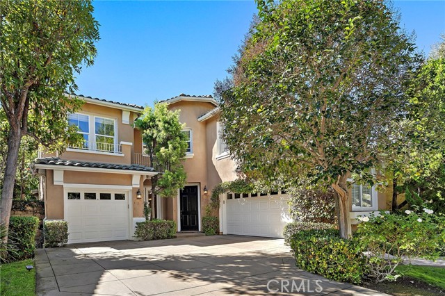 Front Image Thumbnail for CROC25249624