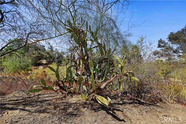 Detail Gallery Image 55 of 68 For 28311 Vista Del Valle, Hemet,  CA 92544 - 3 Beds | 2 Baths