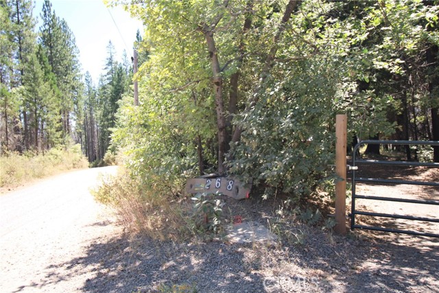 Detail Gallery Image 43 of 43 For 268 Milsap Bar Rd, Berry Creek,  CA 95916 - 3 Beds | 1 Baths