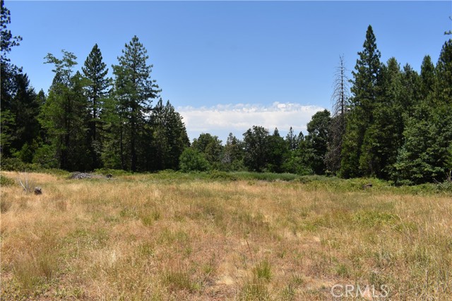 Detail Gallery Image 5 of 43 For 11605 La Porte Rd, Clipper Mills,  CA 95925 - 3 Beds | 2/1 Baths