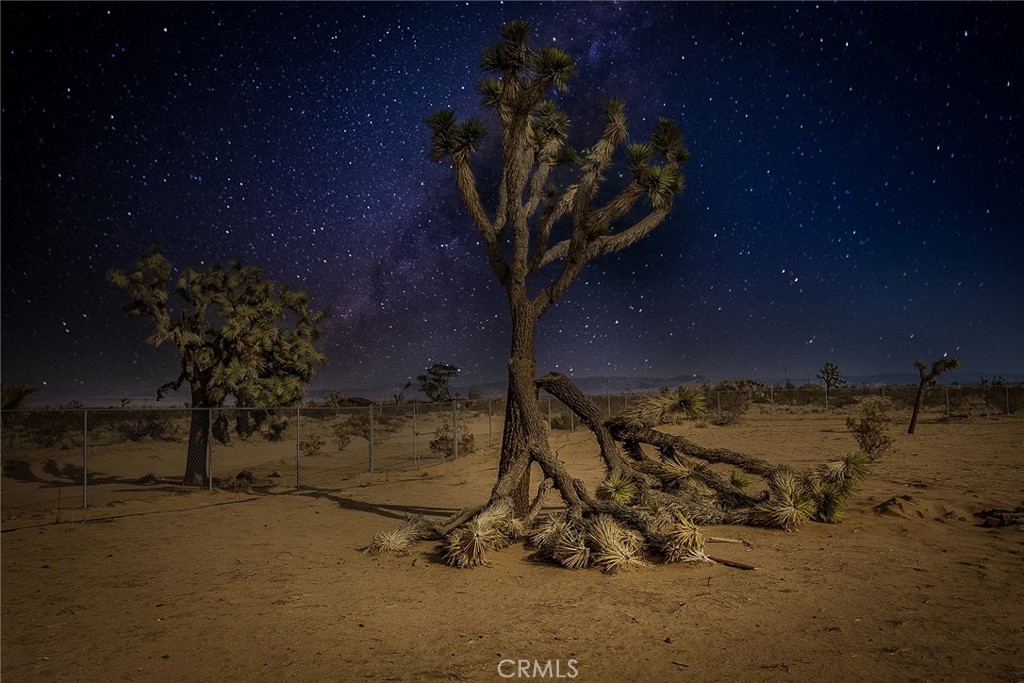 MLS #IV25187540 image #36