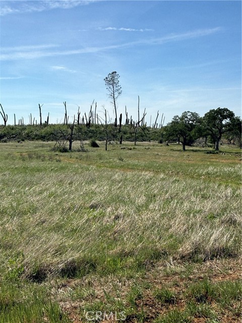 Detail Gallery Image 4 of 33 For 0 Round Valley Ranch, Paradise,  CA 95969 - – Beds | – Baths