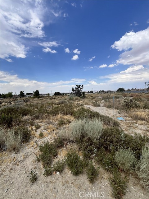  Land for Sale in Phelan, California