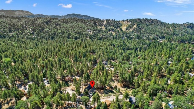 Detail Gallery Image 31 of 32 For 33283 Holcomb Creek, Green Valley Lake,  CA 92341 - 2 Beds | 2 Baths