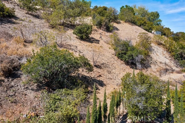 13406 Newcomb Drive photo 6