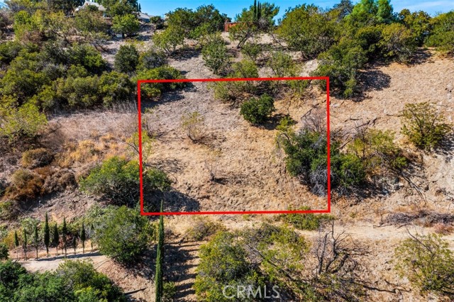 13406 Newcomb Drive photo 4
