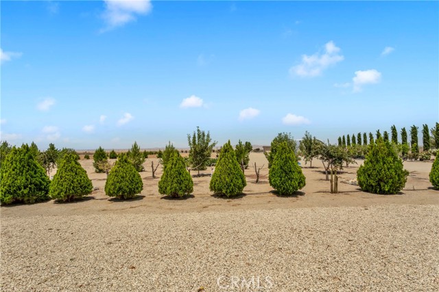 Detail Gallery Image 51 of 73 For 3002 Estero Rd, Pinon Hills,  CA 92372 - 4 Beds | 3/1 Baths