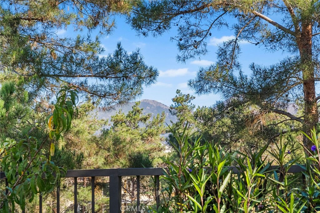 MLS #OC25258182 image #37