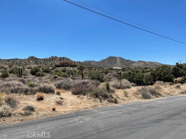 MLS #JT25087199 image #3