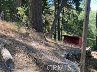 544 Community Drive, Lake Arrowhead CA: https://media.crmls.org/medias/eeac027d-fd6d-4929-8d2a-071e34bcbc4e.jpg