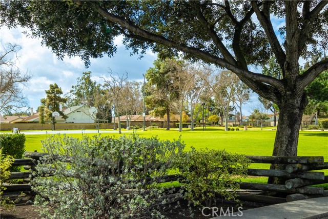 Image 21 of 36 For 12352 Narrowbridge Lane