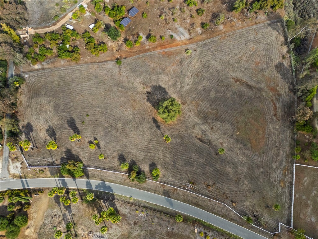 MLS #SW25263649 image #9