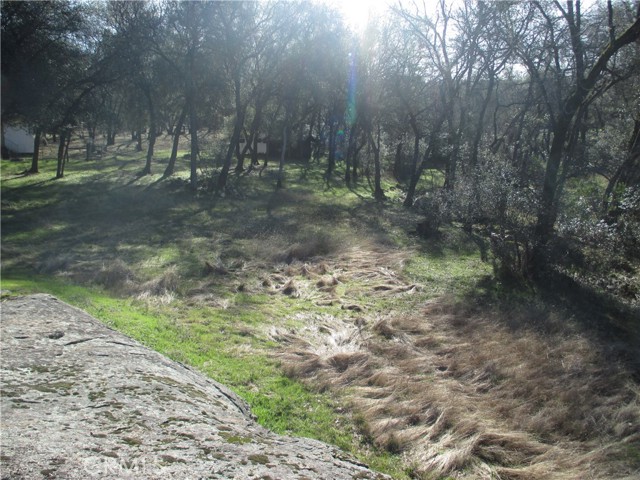 15 Hide A Way Road, Oroville CA: https://media.crmls.org/medias/eebc0fa4-80e2-4eb4-9ac6-8ef7d3f2cd44.jpg