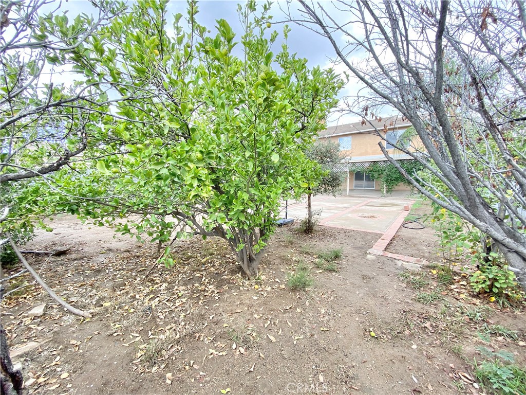 MLS #IV25264594 image #44