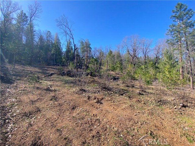 Detail Gallery Image 9 of 21 For 10130 Seigler Springs North, Kelseyville,  CA 95451 - – Beds | – Baths