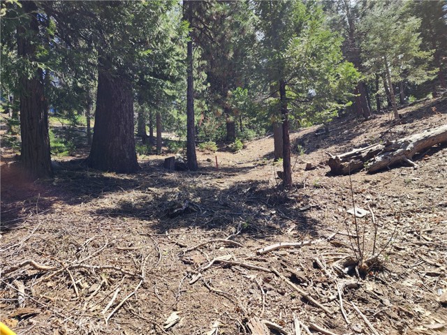 Detail Gallery Image 20 of 24 For 586 Rose, Twin Peaks,  CA 92391 - – Beds | – Baths