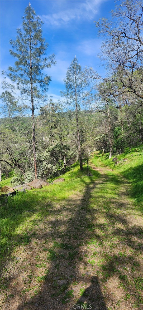 Detail Gallery Image 19 of 23 For 13566 Helltown Parcel 1, Chico,  CA 95928 - – Beds | – Baths