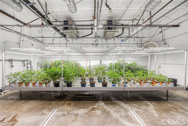 Image 41 of 54 For 44211 Yucca