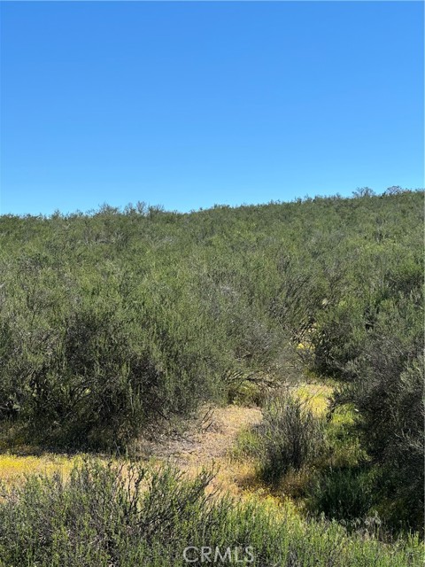 Detail Gallery Image 4 of 16 For 0 Red Mountain Rd, Hemet,  CA 92544 - – Beds | – Baths