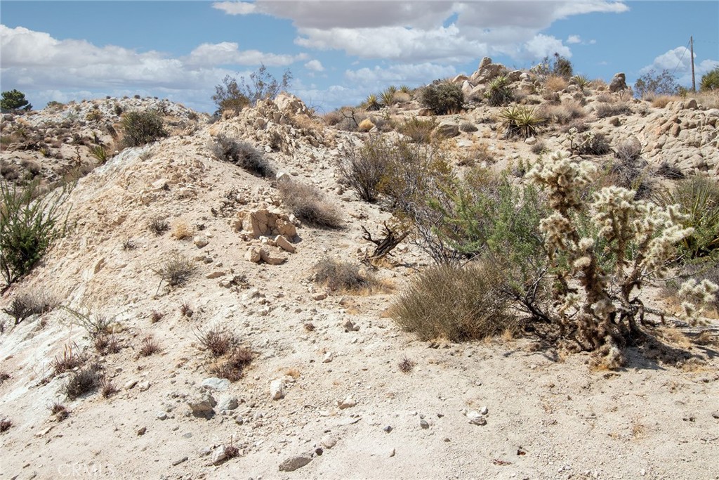 MLS #JT24207302 image #9