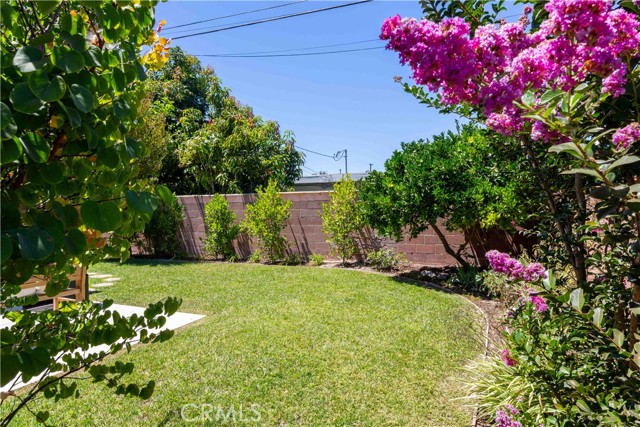 Lush backyard with mature plants