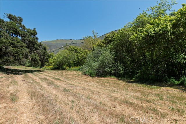 Detail Gallery Image 46 of 61 For 4651 Tepusquet Rd, Santa Maria,  CA 93454 - 3 Beds | 2 Baths
