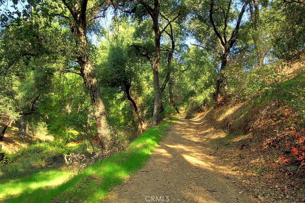 MLS #IG25034144 img 60