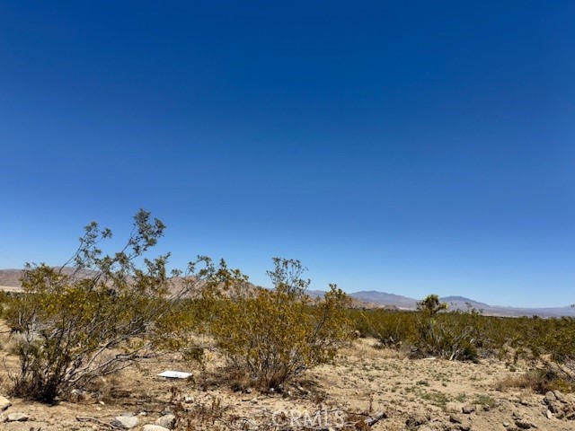 Detail Gallery Image 4 of 8 For 0 Miller Ranch Rd, Lucerne Valley,  CA 92356 - – Beds | – Baths
