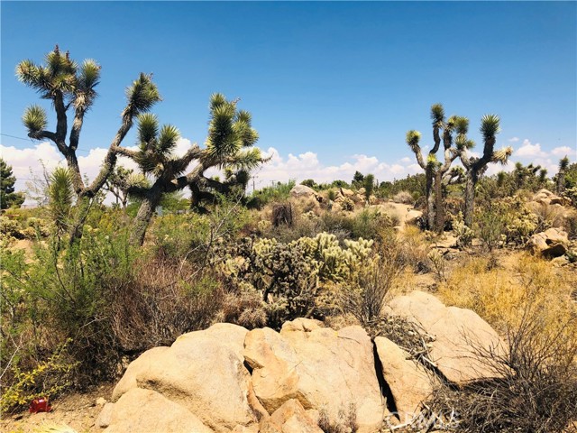 1 Jemez, Yucca Valley, CA, 92284 1 Jemez, Yucca Valley, CA, 92284