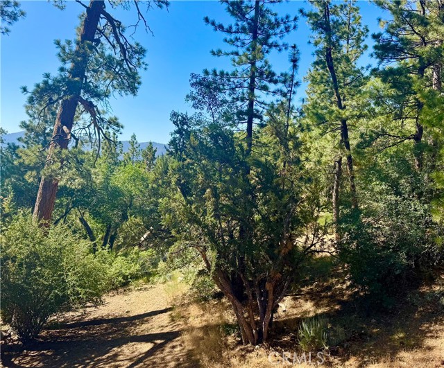 Detail Gallery Image 31 of 34 For 810 Villa Grove Ave, Big Bear City,  CA 92314 - 5 Beds | 3/1 Baths