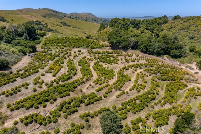 Detail Gallery Image 63 of 74 For 6115 Santa Rosa Creek Rd, Cambria,  CA 93428 - 3 Beds | 4 Baths