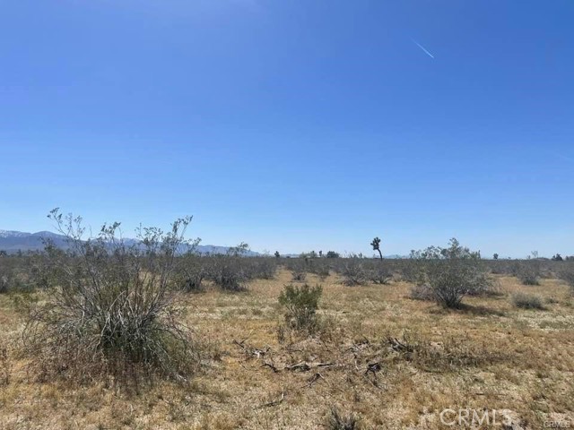 0 -Dos Palmas Rd., Pinon Hills, California 92372, ,Land,For Sale,0 -Dos Palmas Rd.,CREV23199555