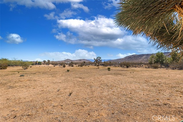 Detail Gallery Image 31 of 41 For 1495 Alta Ave, Yucca Valley,  CA 92284 - 2 Beds | 2 Baths