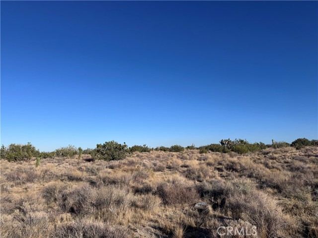 Detail Gallery Image 11 of 15 For 0 Vac/Antelope, Llano,  CA 93544 - – Beds | – Baths