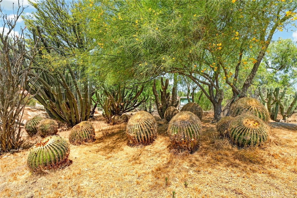 https://media.crmls.org/medias/ef045540-ab9b-4673-acd8-a8c31ae808fc.jpg?preset=X-Large