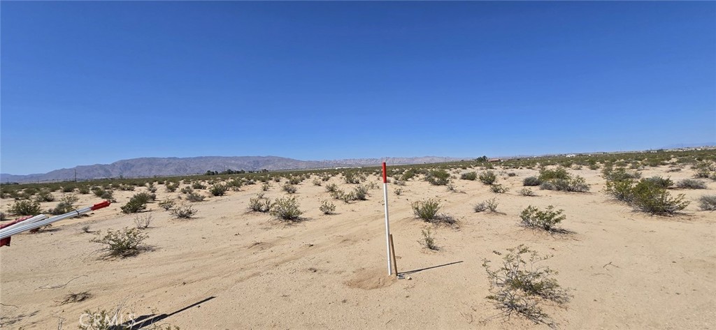 MLS #DW25164142 image #9
