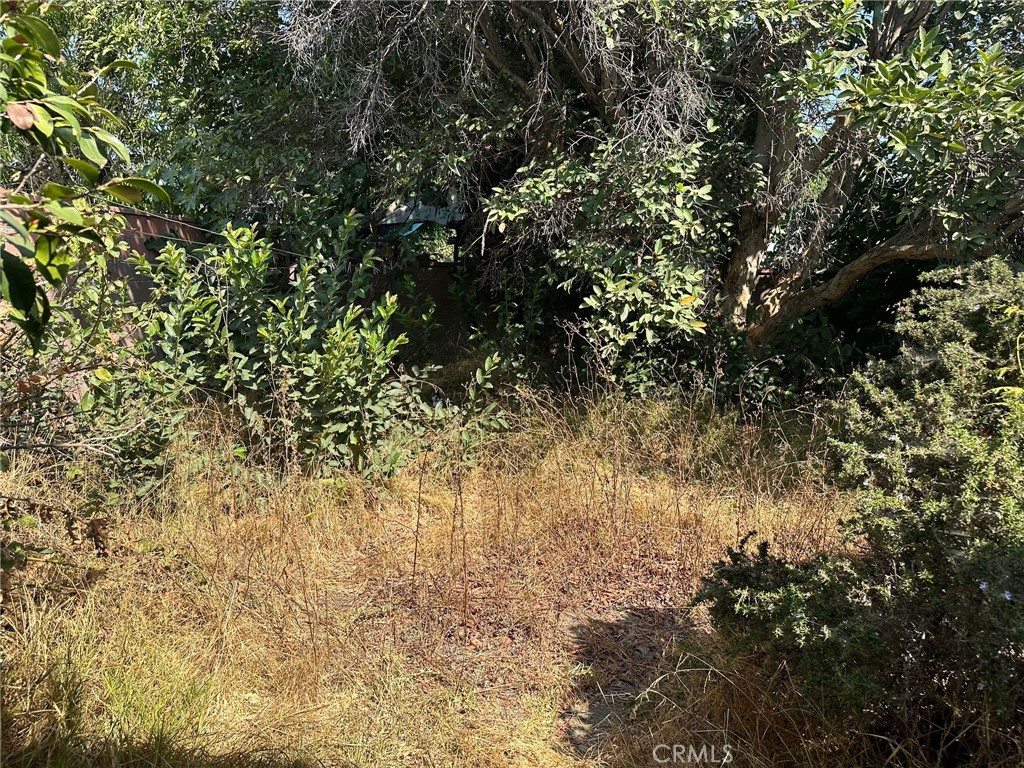 https://media.crmls.org/medias/ef106b38-8e71-418c-a807-5c74efd75e93.jpg?preset=X-Large