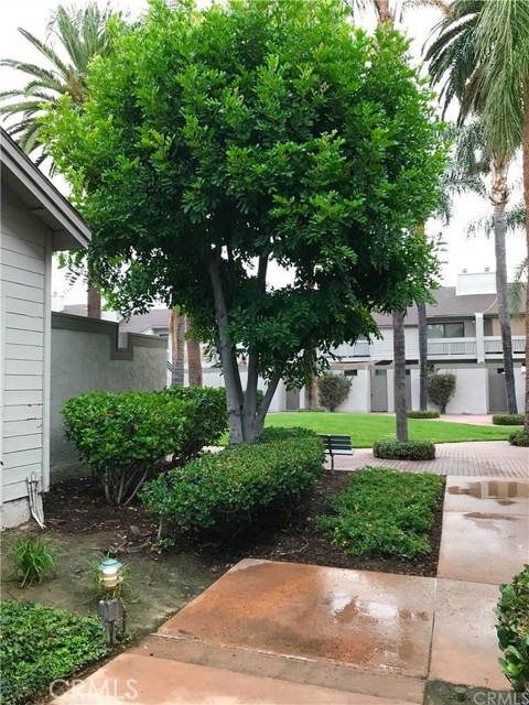 Detail Gallery Image 31 of 39 For 2220 E Chapman Ave #34,  Fullerton,  CA 92831 - 2 Beds | 1/1 Baths