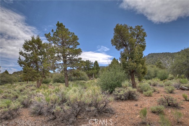 Detail Gallery Image 47 of 50 For 1285 Skyview Ct, Big Bear City,  CA 92314 - 3 Beds | 2 Baths